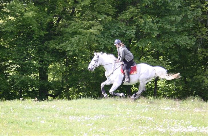 Anden særlig race Damgårds Raptus - Maj 2010 billede 5