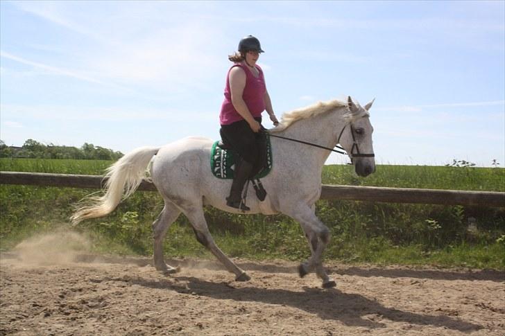 Anden særlig race Damgårds Raptus - juni 2010 billede 12