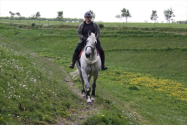 Anden særlig race Damgårds Raptus - Maj 2010 billede 15