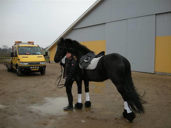 Frieser Maaike Margreet billede 7