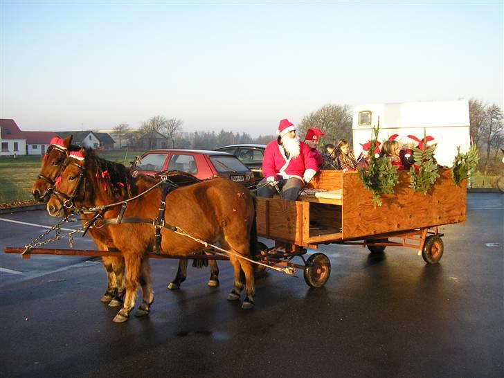 DSP Stidsbjergs Tabitta - her er et billede af heste vognen, som vi gik bagefter til jule optog.   billede 5