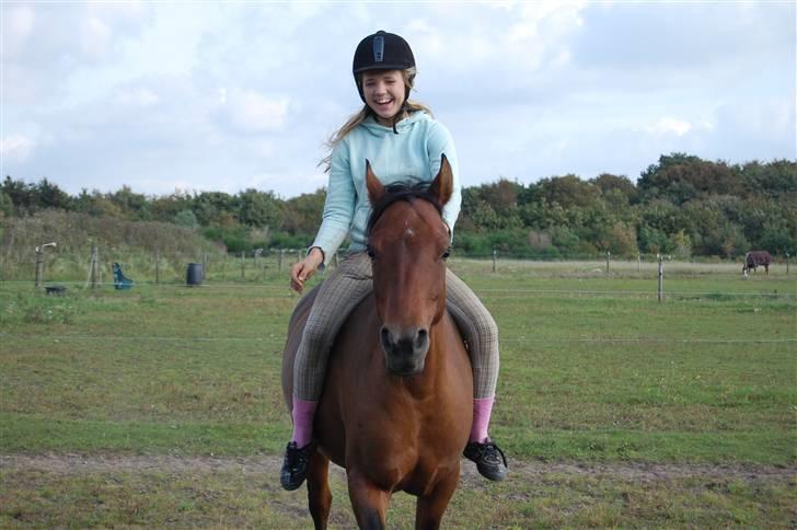 Anden særlig race Ofelia - mm foto billede 5