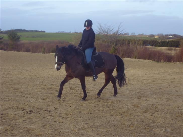 Anden særlig race Cassiopeia billede 8