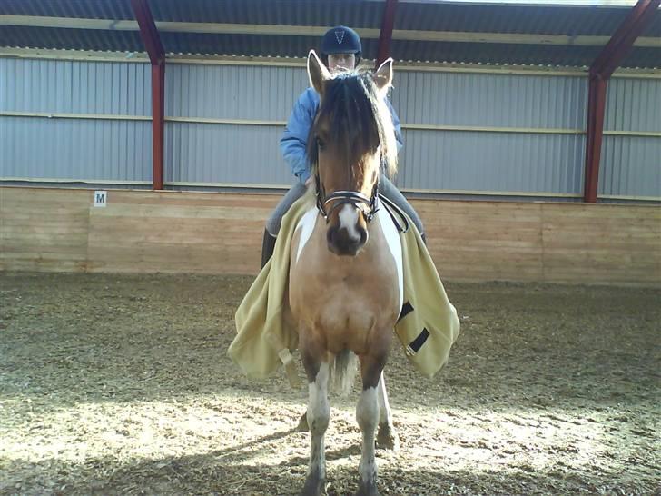 Anden særlig race Sean Connery*kommet hjem* billede 15