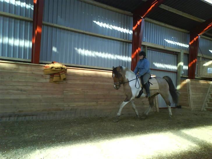 Anden særlig race Sean Connery*kommet hjem* billede 16