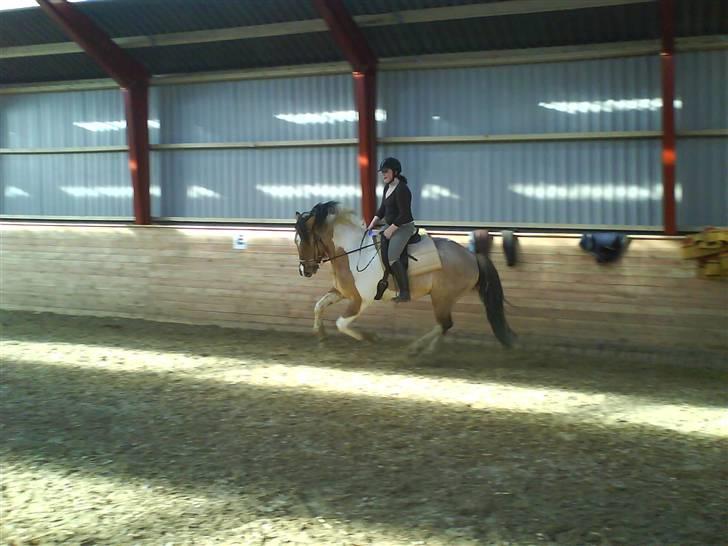 Anden særlig race Sean Connery*kommet hjem* billede 20