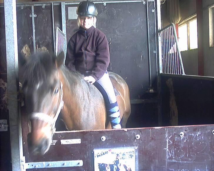 Anden særlig race Marco - En lille hygger i boxen... billede 2