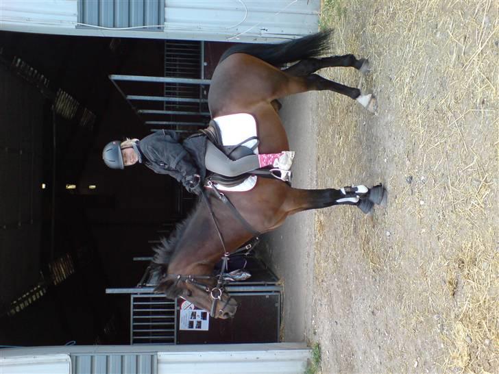 Anden særlig race Marco - Julie og Marco inden tur i terrænnet billede 5