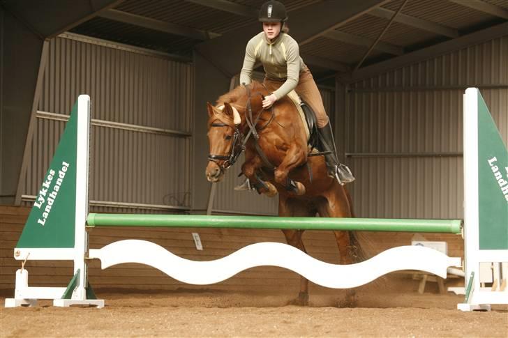 DSP Tanja  billede 5