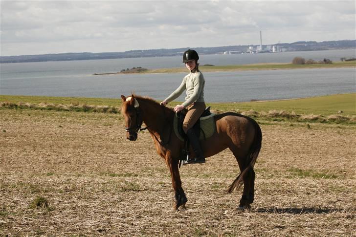 DSP Tanja  billede 7