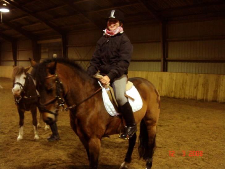 DSP Star(solgt)<3 - endelig nogle billeder med miiig og den elskedee<´333 hihi skal ud og jumpe billede 14