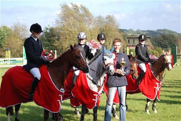 Welsh Pony af Cob-type (sec C) Faya Lobi 2002 Kasto-Glas - Distriktsmester for hold sammen med Maria, Rikke Og Nichlas billede 2