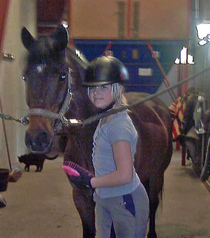 Anden særlig race Marco - Endnu en hyggestund... billede 7