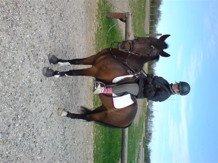 Anden særlig race Marco - Er de ikke fine? billede 8