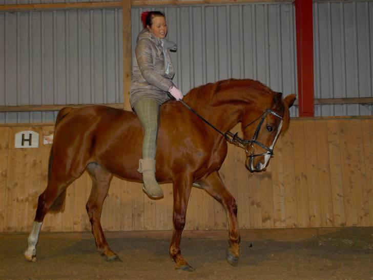 Anden særlig race Cassiopeia - Spring<3 billede 8