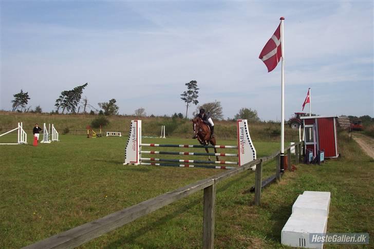 Anden særlig race Cassiopeia - spring billede 10