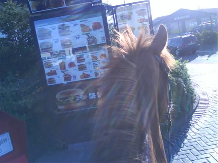 Anden særlig race Cassiopeia - Vi er lige på McD :D  billede 11