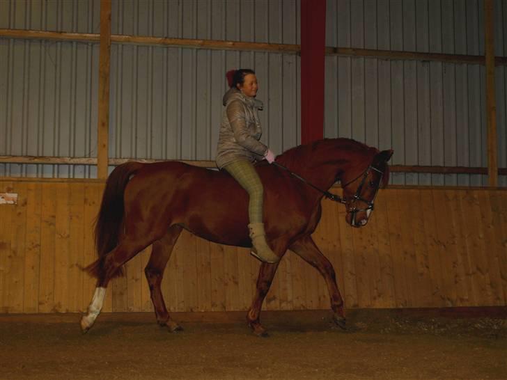 Anden særlig race Cassiopeia billede 13