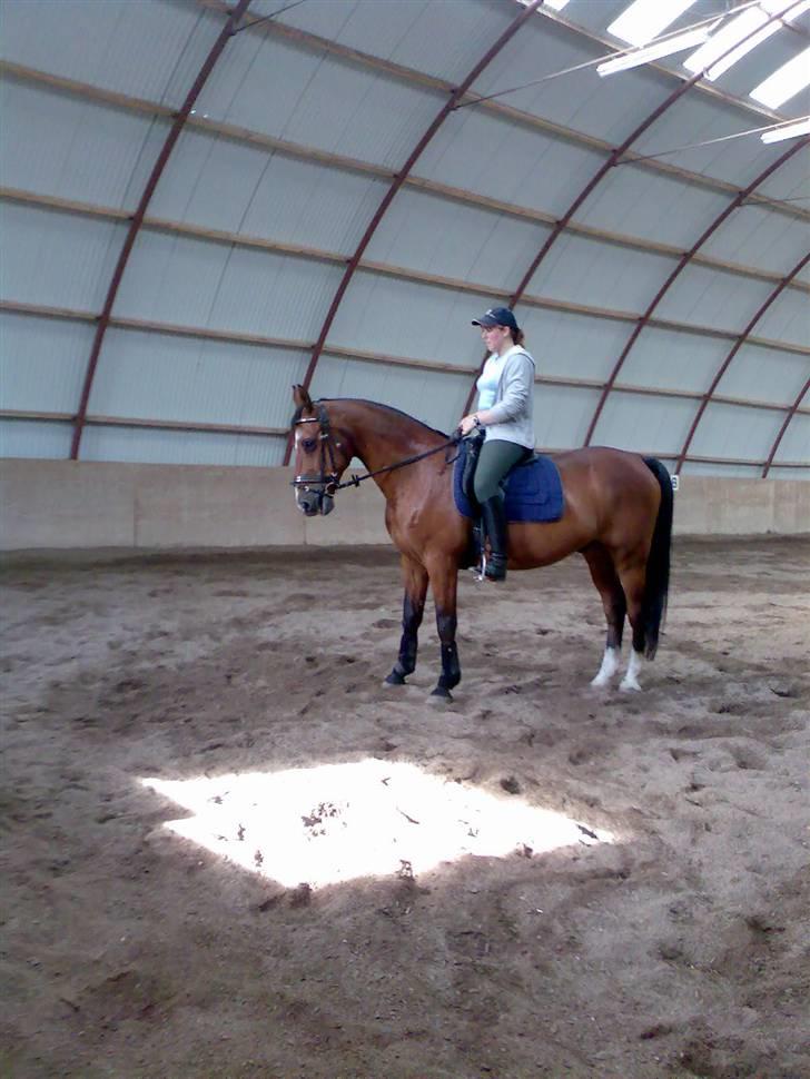 Anden særlig race Leandro - Sidste år i Jejsing billede 5