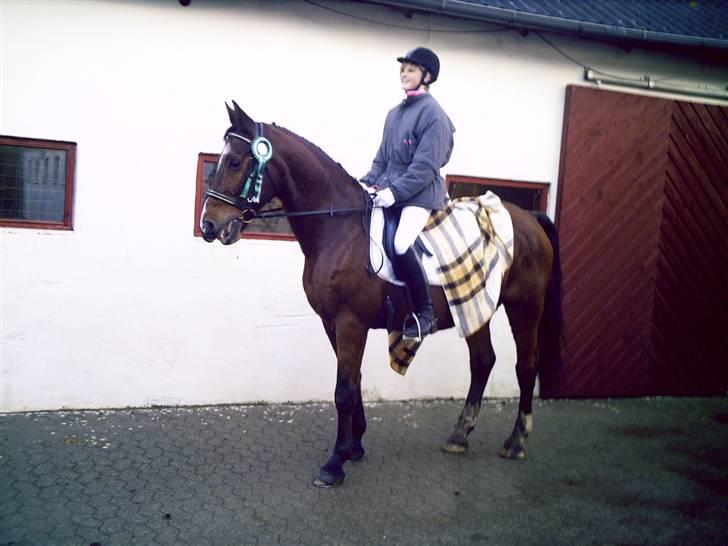 Anden særlig race Leandro - Til Stævne i Tønder, da Kia lånte Leandro.. :-) billede 6