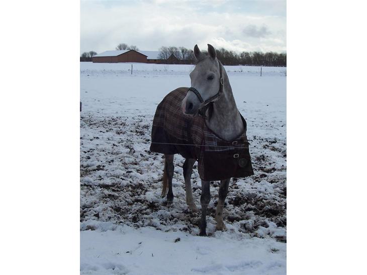 {{currentPhoto.altText}} billede {{currentPhoto.number}}