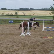 Anden særlig race Angel  Solgt til Emilie:D