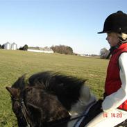 Anden særlig race bastian