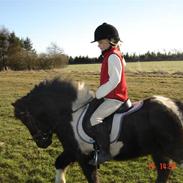 Anden særlig race bastian