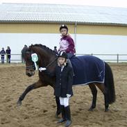 DSP Cappuccino (Cappu)