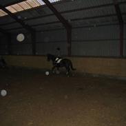 DSP Donna Star solgt :'(