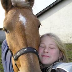 Palomino  | Golden Beauty