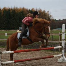 New Forest Magic skønager!<3