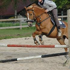 New Forest Magic skønager!<3