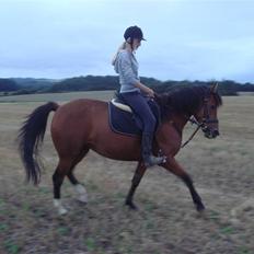 Anden særlig race Jasmin <3