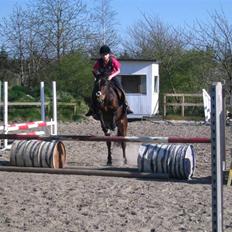 Anden særlig race May-day<3 *solgt*