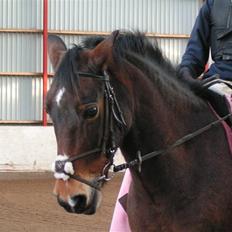 Anden særlig race May-day<3 *solgt*