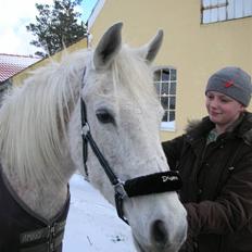 Anden særlig race Dione