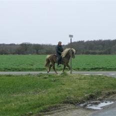 Islænder sindri fra øxl
