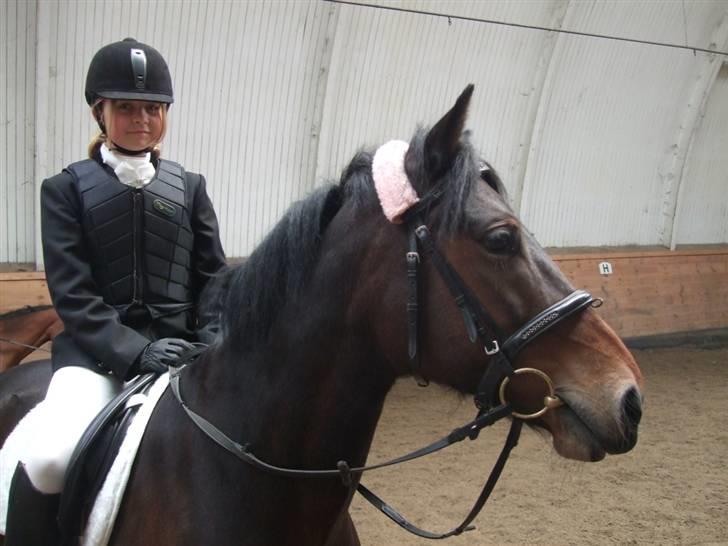 New Forest Fleur(L - Puttie, I love U foto: Suz billede 7