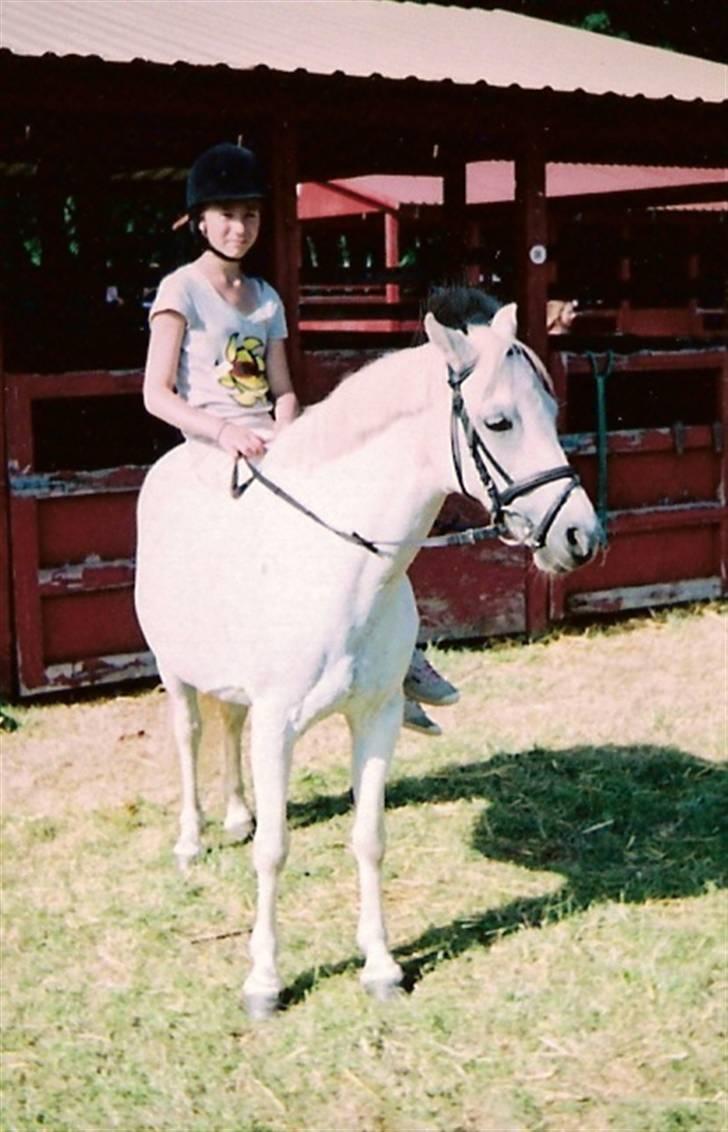 Welsh Pony (sec B) Lyngvejens Ravalla - Ravalla og mig på Roskilde Dyrskue :) billede 10