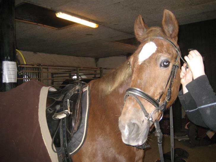 Anden særlig race Madonna<33  - Da hun liget var kommet<333 billede 3