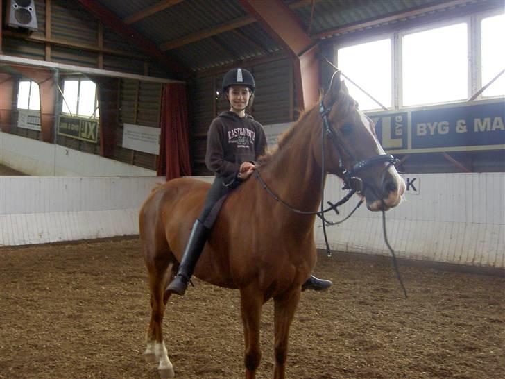 Anden særlig race 33> Scherzo <33 Solgt :´( - Sophie og Scherzo<3 billede 19