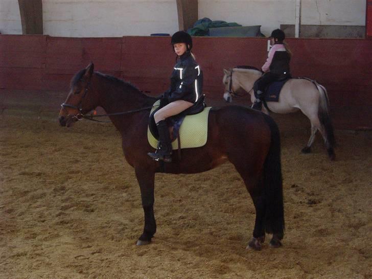 Anden særlig race Tøsen {Elev hest}(Simone) - mig og Tøsen og bag i er Ida og Lucky billede 12