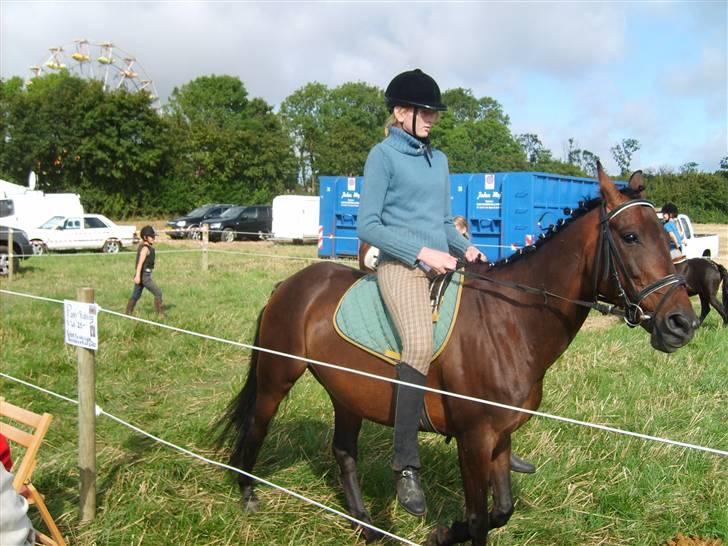 Anglo Araber (AA) Silke - fordi vi er et perfekt makkerpar ! billede 4