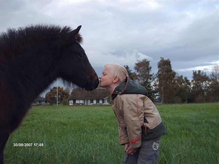 Islænder Tritla fra Lindebjerg -  oliver og tritla ... kyys mig oliver .. haha  / foto: mig billede 6