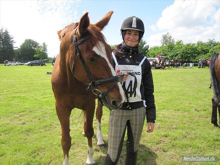 Frederiksborg Ferdinand - nr5-distance i kuthenborg 2010 (: billede 6