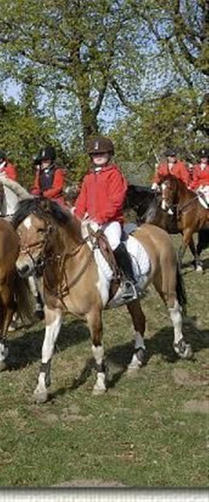 Pinto rishøjes asa  (solgt) - her er asa og jeg til vore første jagt (babyjagt) billede 6