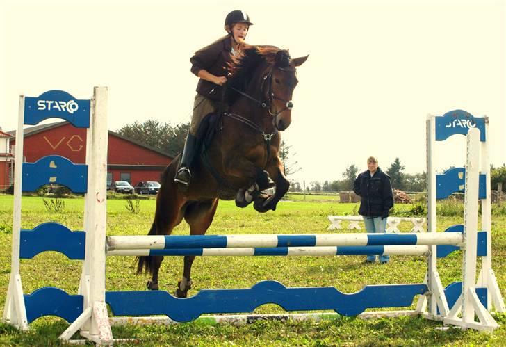 Anden særlig race Victoria - Spring på Vittrup (: Fotograf: Mette Marie Bendt. billede 5