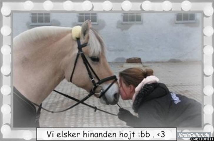 Fjordhest Højgaards Sandra *SOLGT* - Elsker den pony <3 og jeg savner hende hel vilt meget :`( Men jeg ved heldigvis hun har det rigtig godt det nye sted hun er kommet hen <3 Savner den pony billede 12