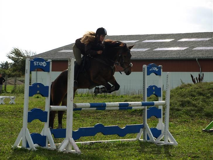 Anden særlig race Victoria - Spring på Vittrup (: Fotograf: Mette Marie Bendt. billede 6